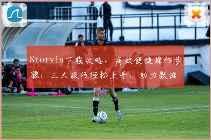 Storvia下载攻略，高效便捷操作步骤，三大技巧轻松上手，助力数据管理