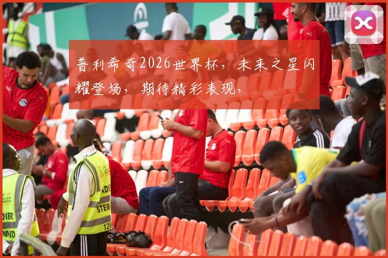普利希奇2026世界杯，未来之星闪耀登场，期待精彩表现，